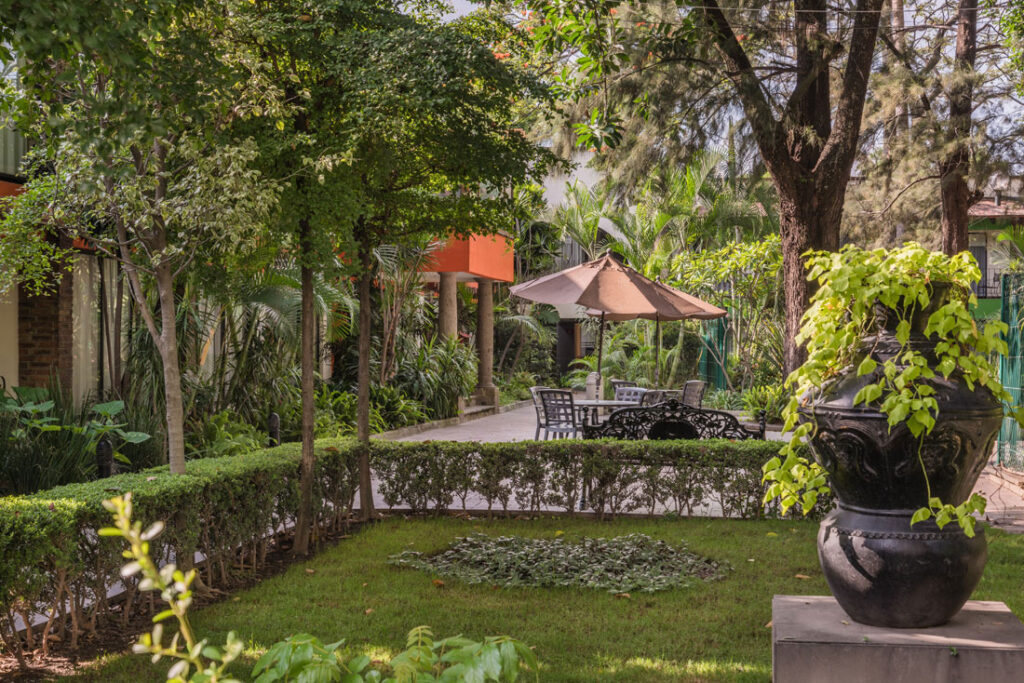 15373819732254588545ba296555532e_ad_