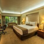 expedia_group-2401715-f8fc3c-676549